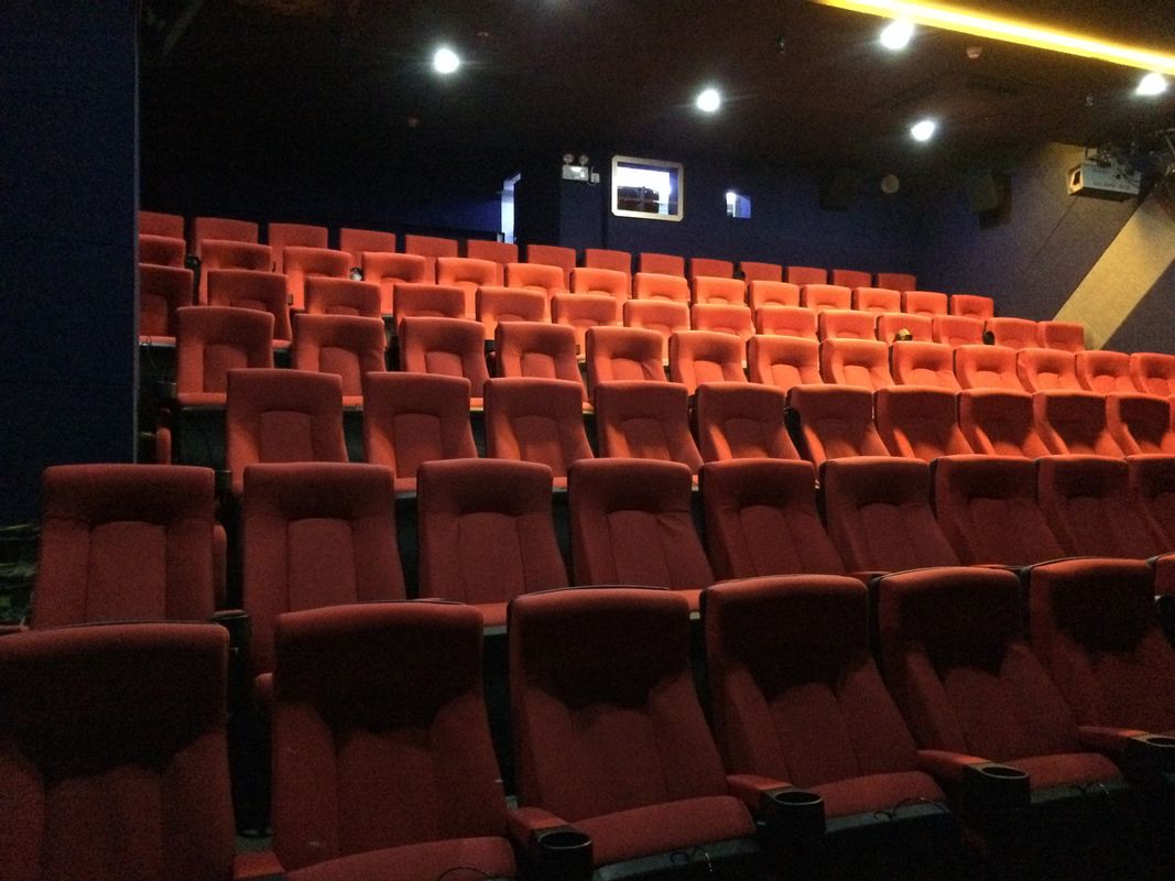 50-180 People Shocked Theater with Brand Sound Vision Feast System