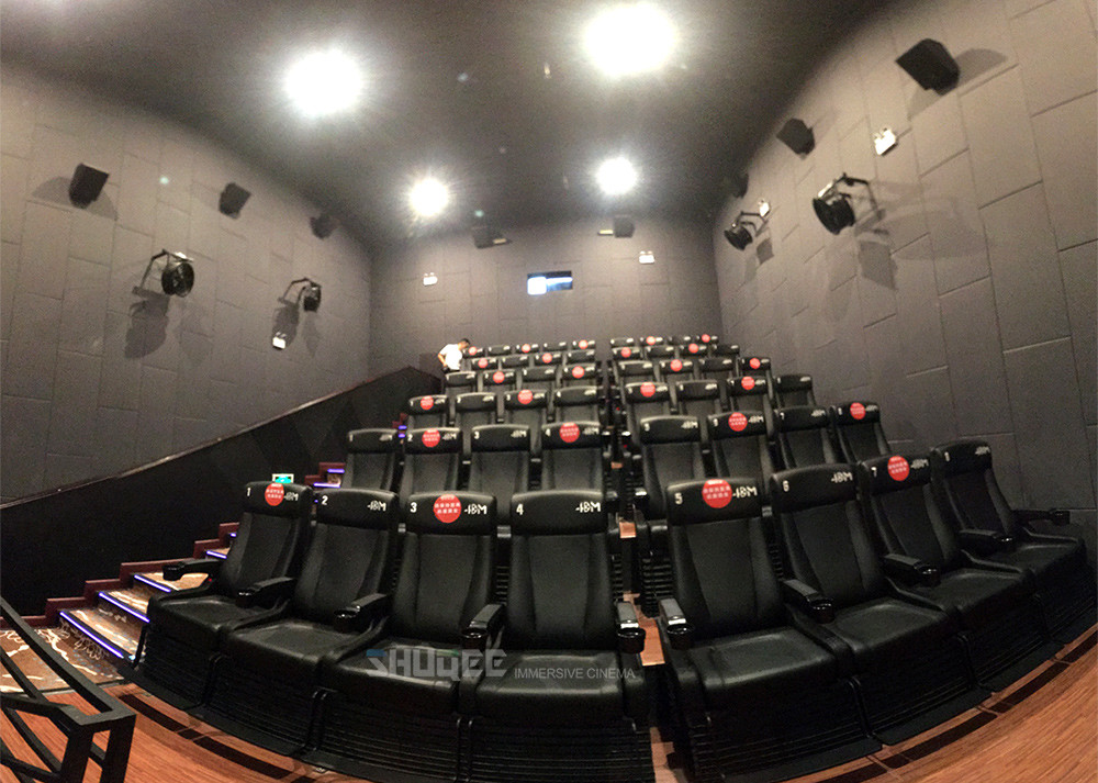 5.1 Home Theater 4D Movie Cinema Equipment With Special Effects For Sale