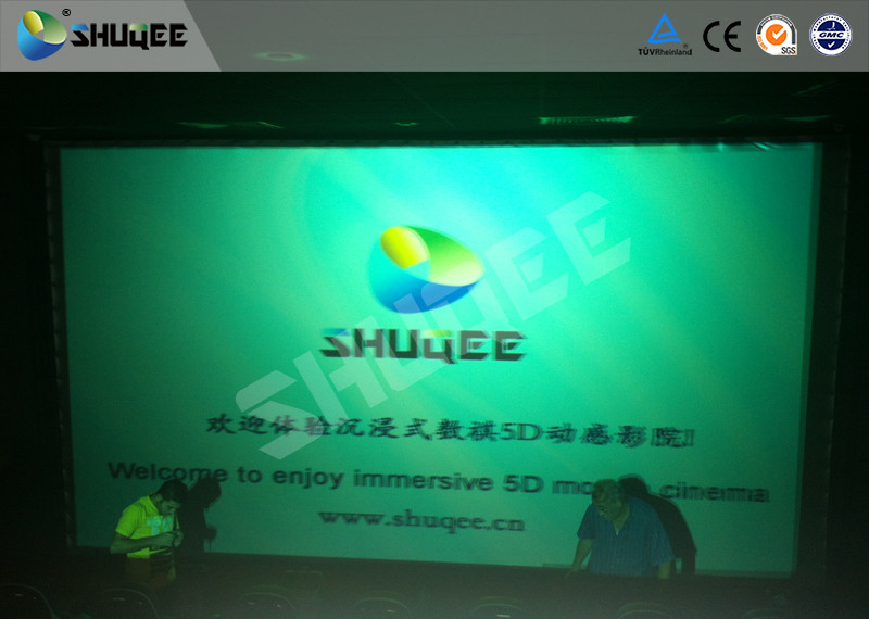 Electronic System Motion Theater Seats Equip Snow Rain Bubble Lightning ETC